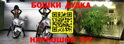 гашик Кулебаки