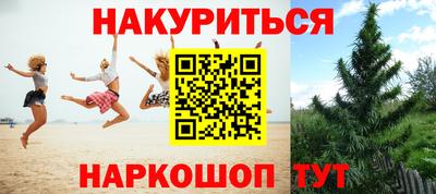 сатива Кумертау