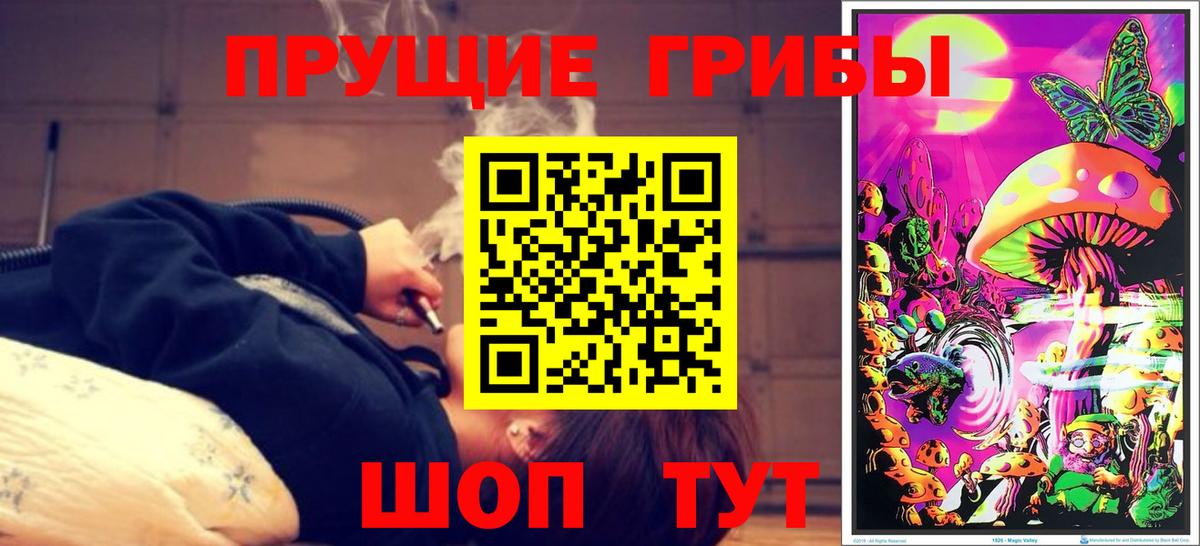 Псилоцибиновые грибы GOLDEN TEACHER  купить наркоту  Йошкар-Ола  Вход с VPN 