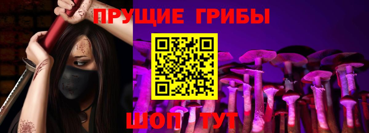 Псилоцибиновые грибы GOLDEN TEACHER Йошкар-Ола